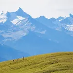 Montana